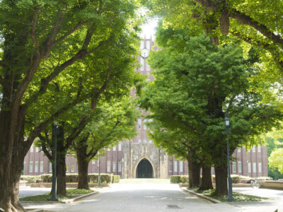 例題記事のタイトルが入ります3